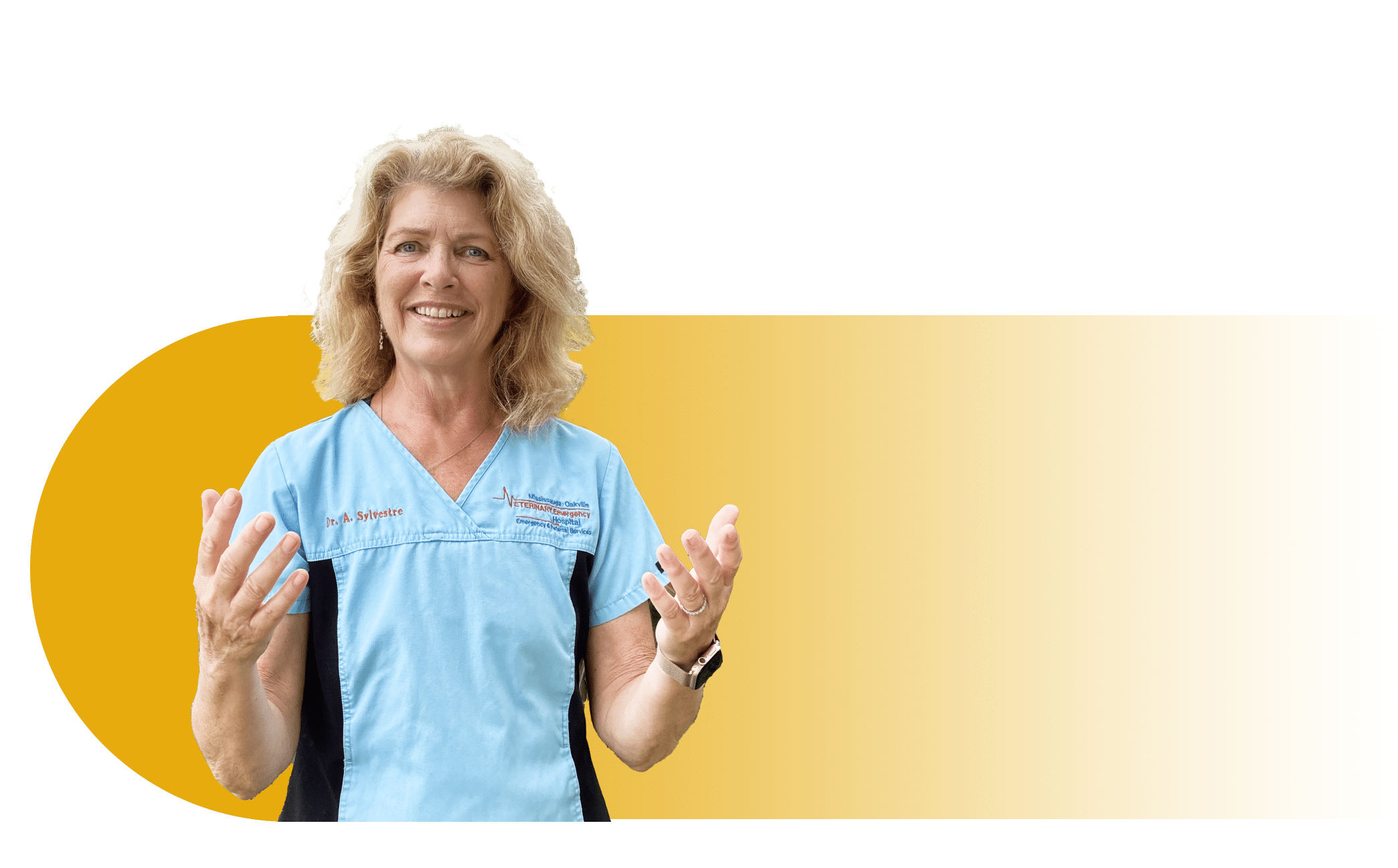 Elbow Medial Collateral Ligament Test for Veterinarians - Focus and ...